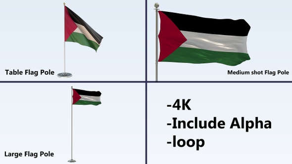 Palestine Flag Pole Pack 4k-Loop