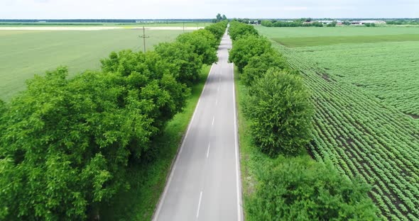 4K aerial shot. Flying over empty asphalt road. Close to the trees.