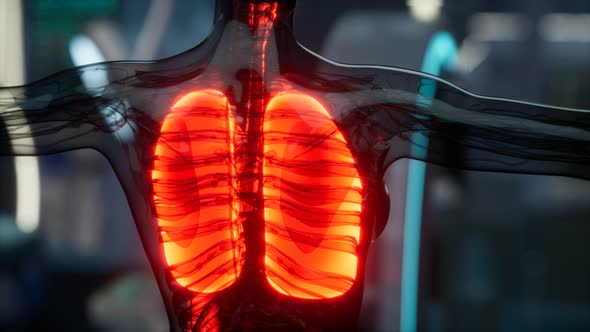 Human Lungs Radiology Exam in Laboratory