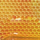 Thick Flower Honey Drips Down Honeycomb - VideoHive Item for Sale