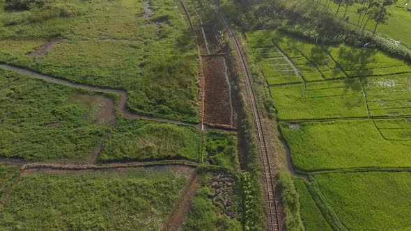 Aerial shot of a railway running through rice fields in Africa in the golden sunset.