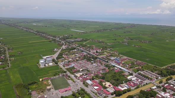 The Paddy Rice Fields of Kedah and Perlis, Malaysia