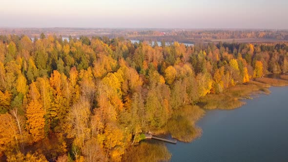 The Aerial View of the Orange Color Trees in the Lakeside