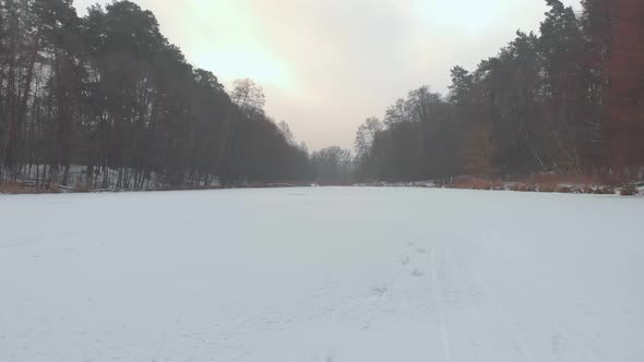 Winter Frozen Lake And Forest