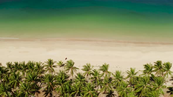 Tropical Beach with White Sand View From Above