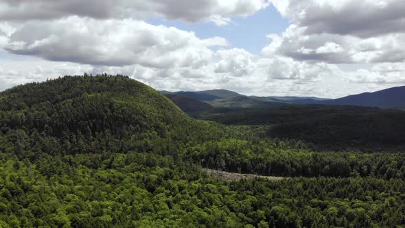 Birds eye view of a forest in Maine United State of America