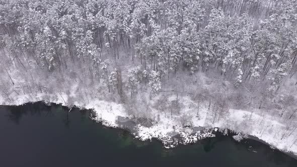 Aerial View Winter Shore Of The Lake Near The Forest