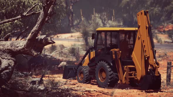 Excavator Tractor in Bush Forest