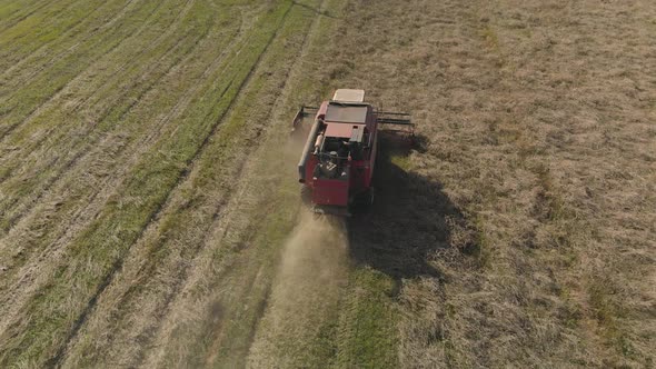 Direct Combine Harvesting Oats