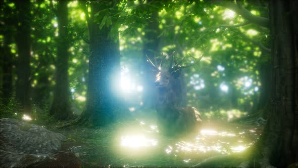 Great Red Deer in a Green Forest alt
