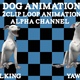 Dog 2 Clip Animation Loop - VideoHive Item for Sale