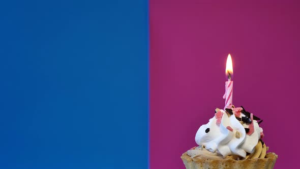 Birthday Cupcake with a Lit Candle on a Bluered Background