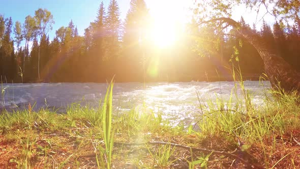 Meadow at Mountain River Bank