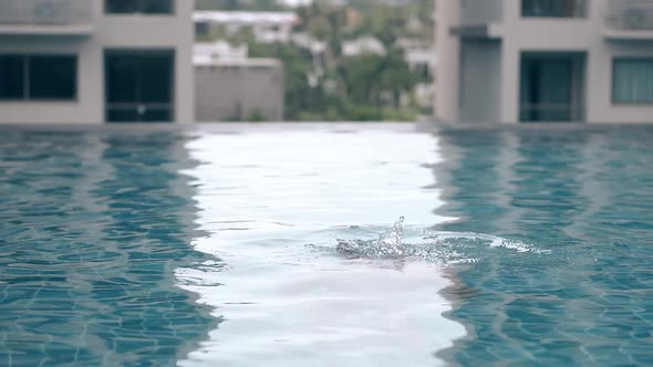 Slim Girl in Bikini Swims in Pool on Hotel Roof Slow Motion