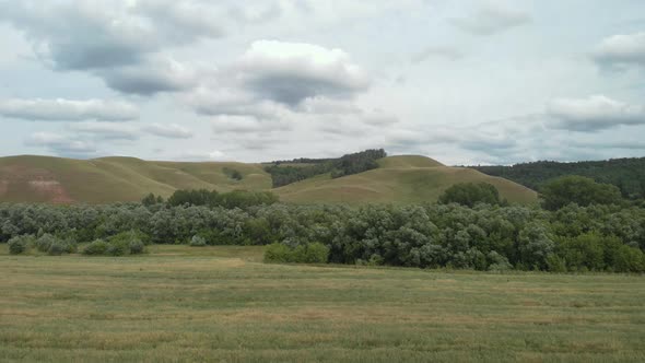 Green Field With Spruce Hills