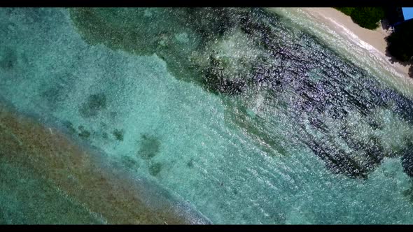 Aerial texture of tranquil shore beach wildlife by blue ocean with white sandy background of a dayou