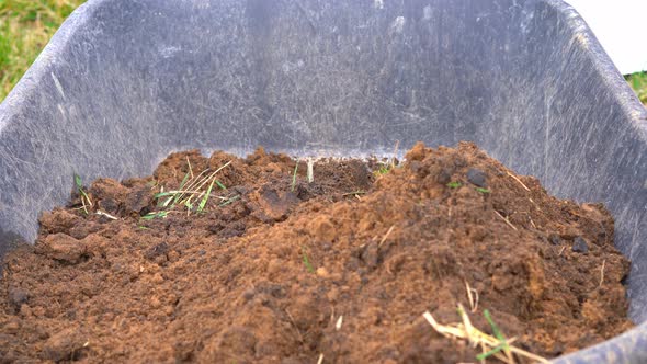 Pouring Clay Soil Into a Wheelbarrow with a Shovel