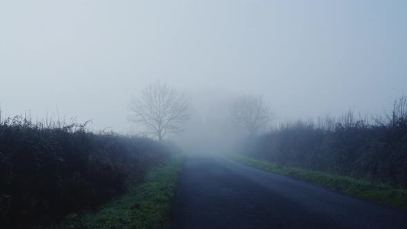 Rural narrow countryside road in thick fog and mist, dangerous bad driving conditions in foggy misty