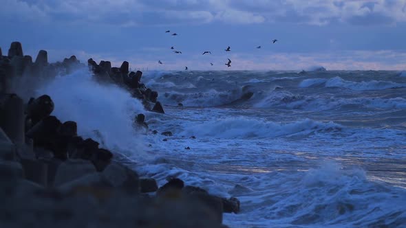 Big stormy waves breaking against Northern Pier wave breakers at Liepaja, overcast evening, seagulls