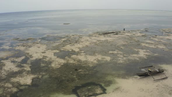 Wooden catamaran on sandy beach with seaweed at low tide, Zanzibar.