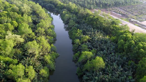 Fly follow river with mangrove tree and deforestation