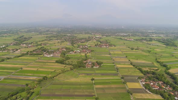 Rice Field and Agricultural Land in Indonesia