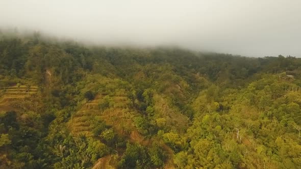 Rainforest Cloud BaliIndonesia