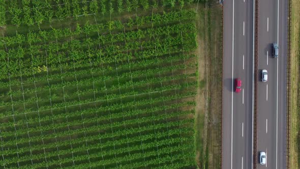 Aerial View Of The Highway