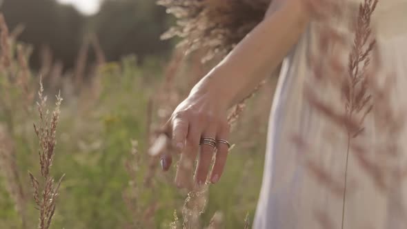 Woman Walking Through Sunny Meadow and Her Hand Touching High Grass.