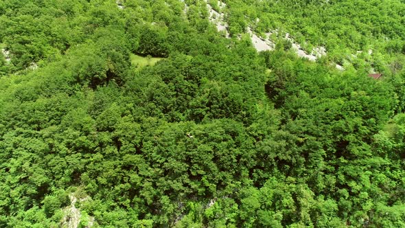 Aerial view of a person crossing the forest through a large zip line cable.