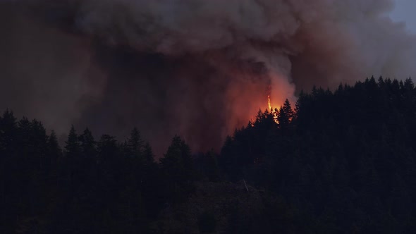 Forest Fire Near Portland Oregon