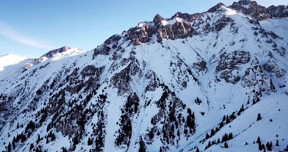 High Snowy Mountains Spruce Trees Grow in Places