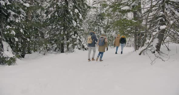 Back View of Hikers with Backpacks Walking in Snowy Forest in Winter Enjoying Weekend