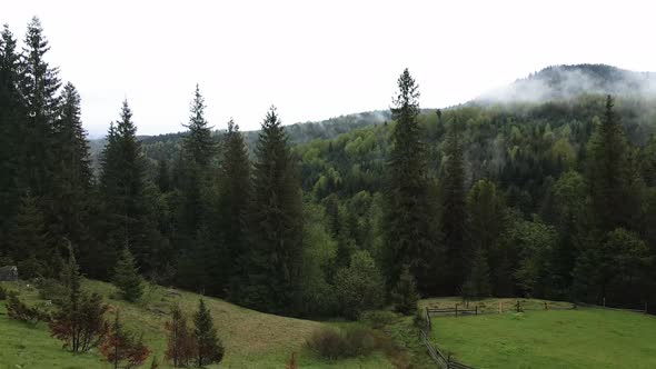 Ukraine, Carpathian Mountains: Beautiful Mountain Forest Landscape. Aerial