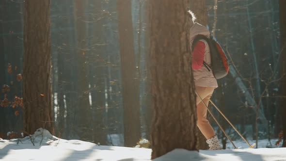Beginner Skier with a Backpack is Skiing in the Forest