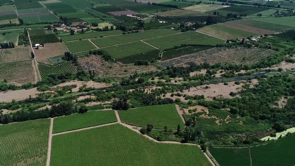 60 fps drone footage of a nice chilean valey landscape full of vineyard