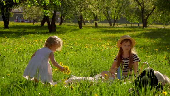 Two Girls in Beautiful Striped Dresses Are Sitting on the Lawn in the Garden