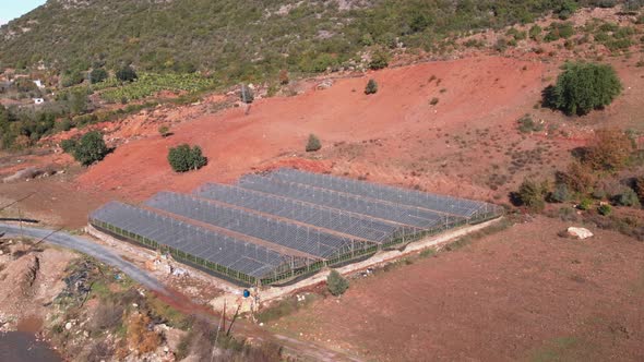 Big agriculture greenhouses for growing green plants next to highway.