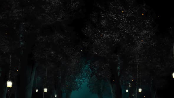 Night Forest Background