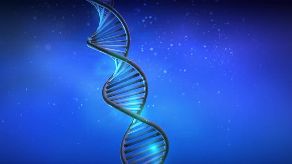 DNA Strand Spins On A Blue Background 4K