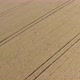 Yellow tones of wheat field crop 4K aerial footage - VideoHive Item for Sale