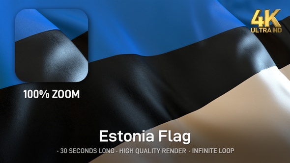 Estonia Flag - 4K