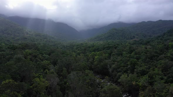 Cloudy Daintree Rainforest backward aerial over tree canopy with mountains, Mossman Gorge, Queenslan