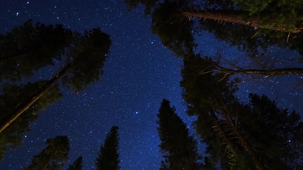 Cinematic View of Milky Way Stars Timelapse  Night Sky View From Forest