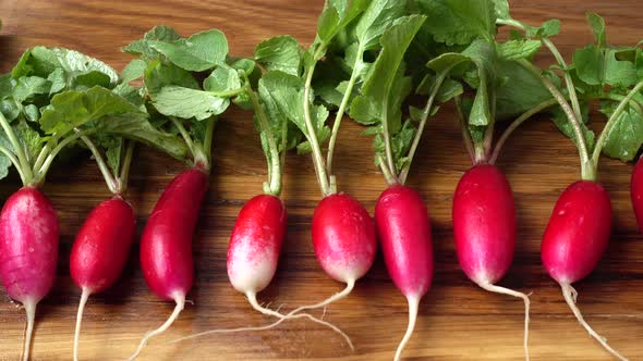 Radish Fruits 4