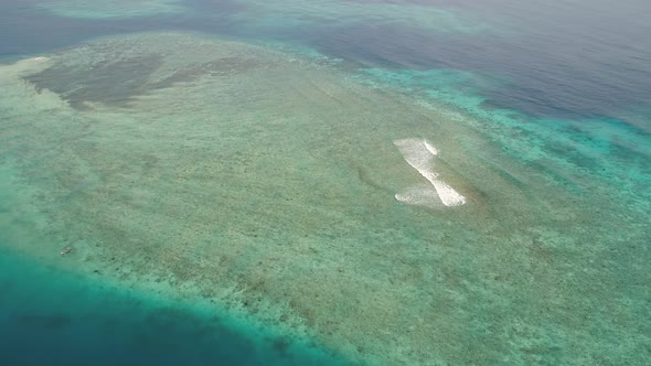 Seascape Coral Reef in Sea