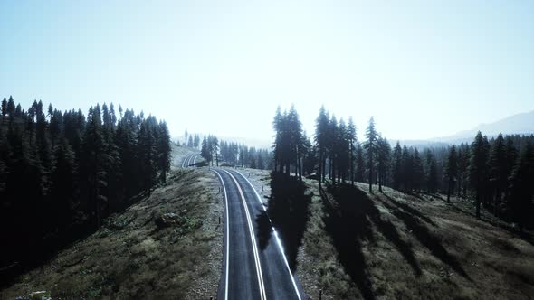 Aerial View on a Winding Road in Summer Day