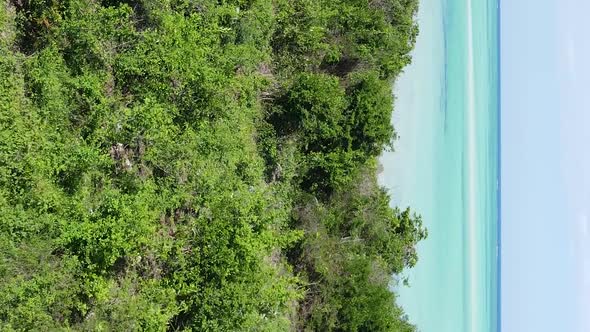 Zanzibar Tanzania  Coast of Island Covered with Thickets Slow Motion