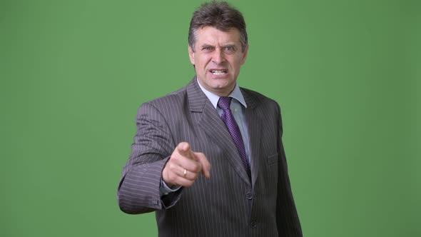 Mature Handsome Businessman Against Green Background