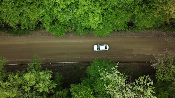 Aerial Top Down  View of White Car Driving on Rural Road in Forest